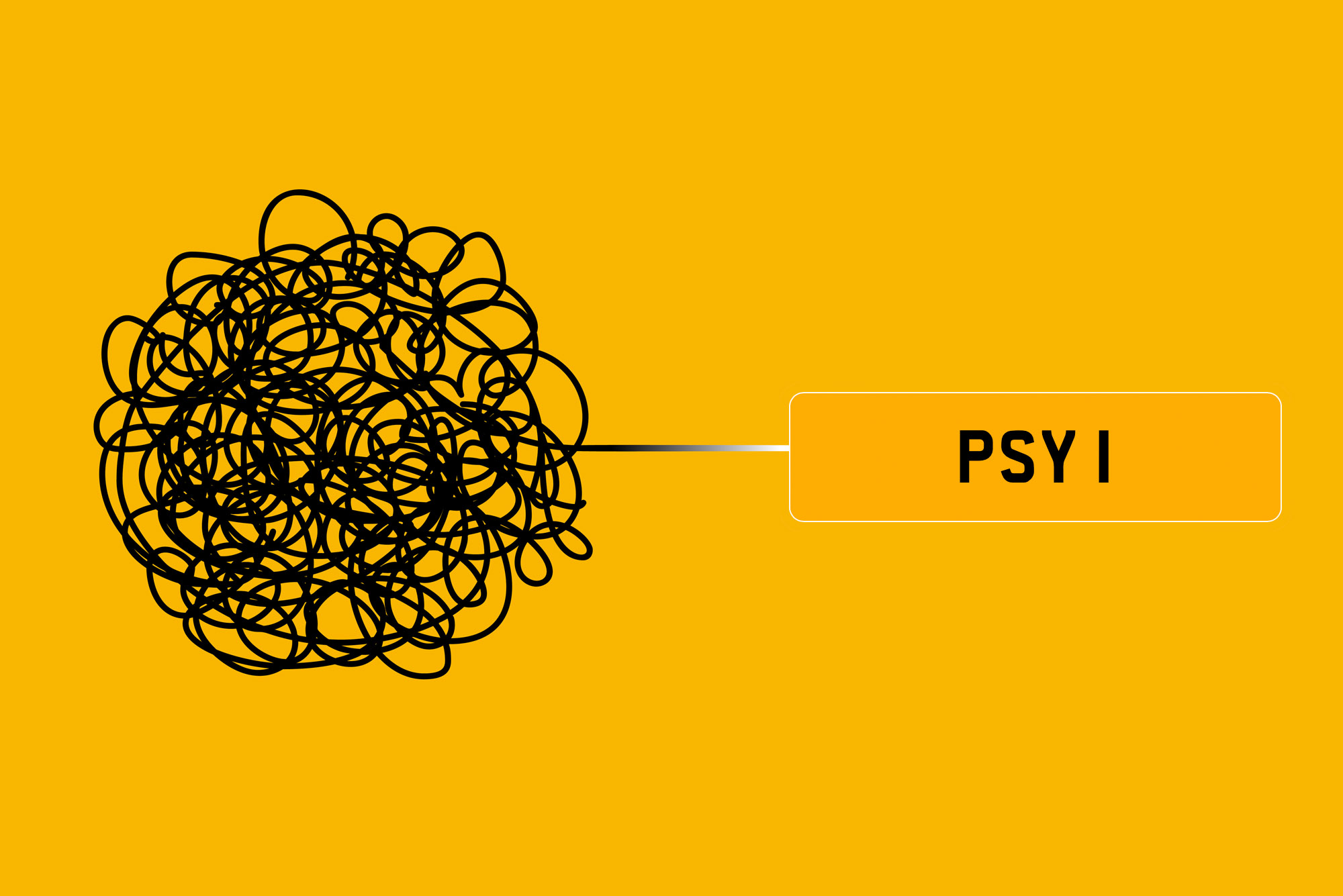 The Psychology Behind Choosing Private Plates: What Your Private Registration Says About You